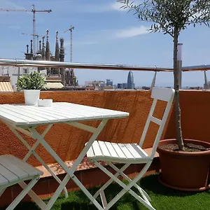 Your In , Barcellona Spagna